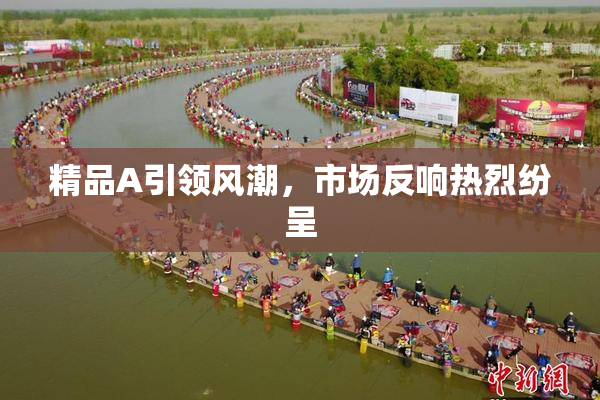 精品A引领风潮，市场反响热烈纷呈