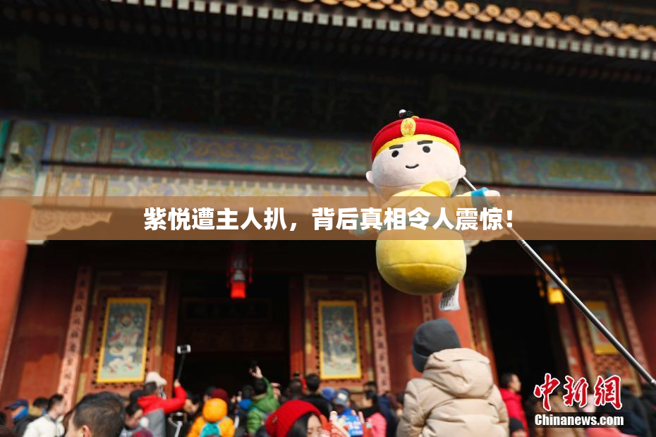 紫悦遭主人扒，背后真相令人震惊！