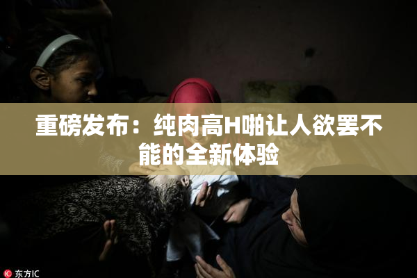 重磅发布：纯肉高H啪让人欲罢不能的全新体验