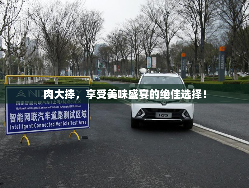 肉大捧，享受美味盛宴的绝佳选择！