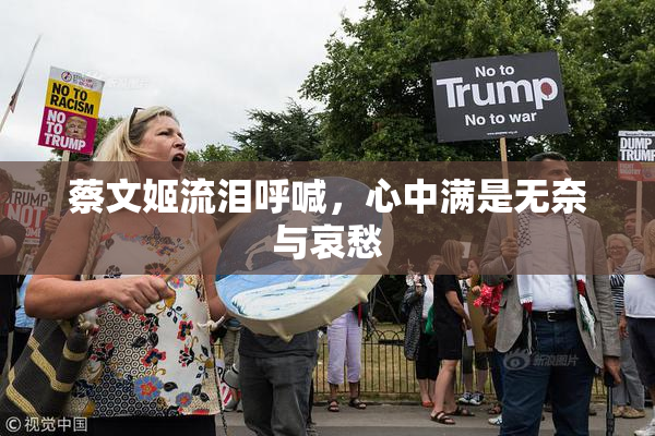 蔡文姬流泪呼喊，心中满是无奈与哀愁