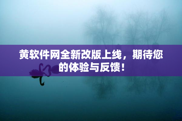黄软件网全新改版上线，期待您的体验与反馈！