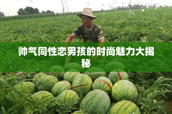 帅气同性恋男孩的时尚魅力大揭秘