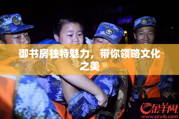 御书房独特魅力，带你领略文化之美