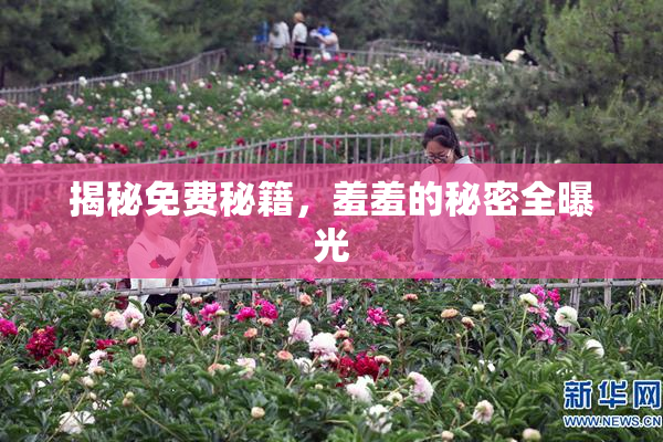 揭秘免费秘籍，羞羞的秘密全曝光