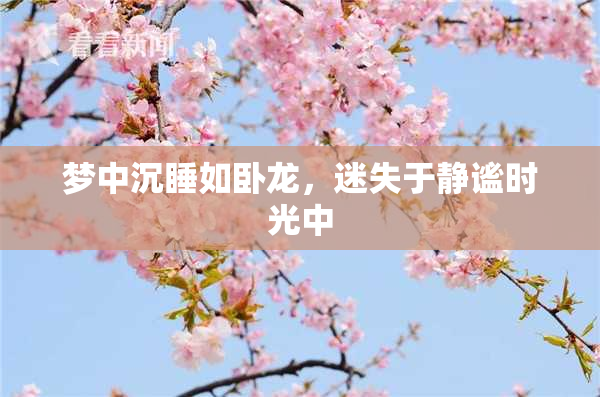 梦中沉睡如卧龙，迷失于静谧时光中