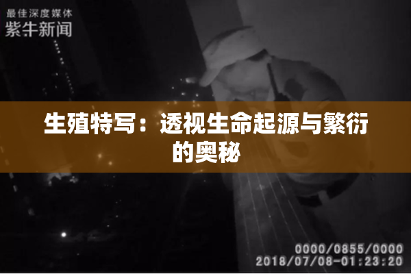 生殖特写：透视生命起源与繁衍的奥秘