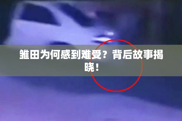 雏田为何感到难受？背后故事揭晓！