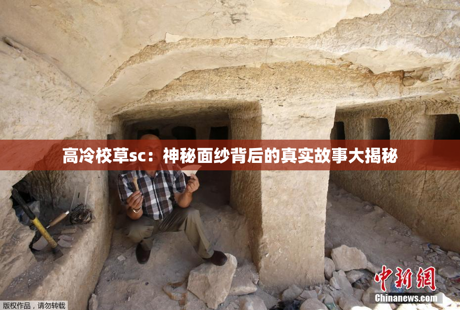 高冷校草sc：神秘面纱背后的真实故事大揭秘