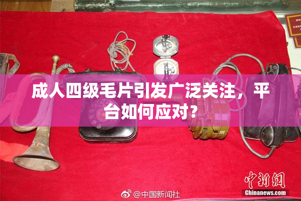 成人四级毛片引发广泛关注，平台如何应对？