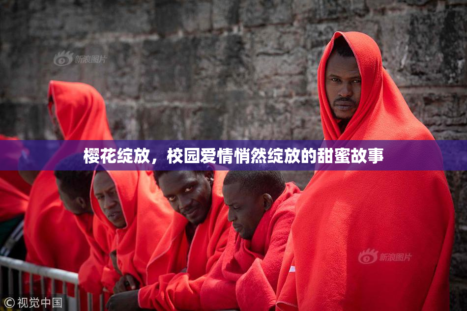 樱花绽放，校园爱情悄然绽放的甜蜜故事