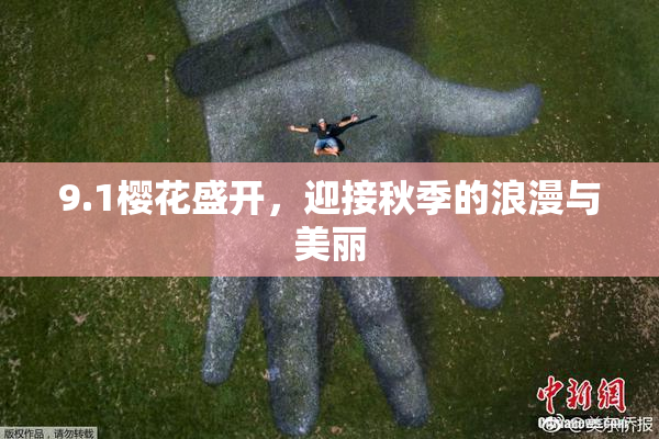 9.1樱花盛开，迎接秋季的浪漫与美丽