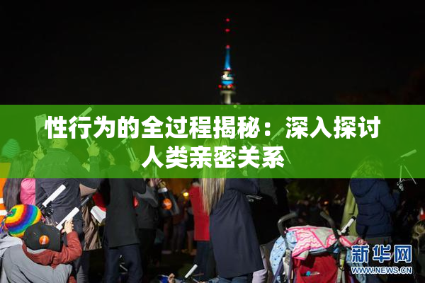 性行为的全过程揭秘：深入探讨人类亲密关系