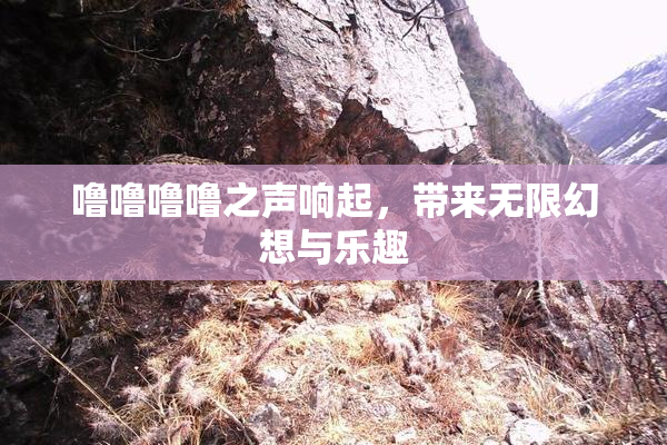噜噜噜噜之声响起，带来无限幻想与乐趣
