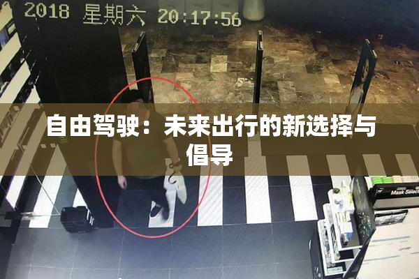 自由驾驶：未来出行的新选择与倡导