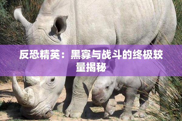 反恐精英：黑寡与战斗的终极较量揭秘