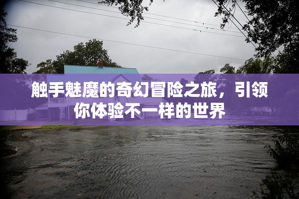 触手魅魔的奇幻冒险之旅，引领你体验不一样的世界