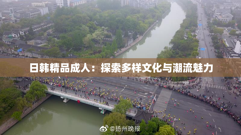 日韩精品成人：探索多样文化与潮流魅力