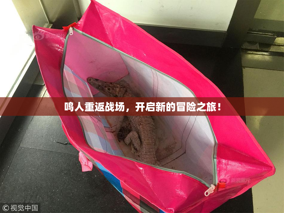 鸣人重返战场，开启新的冒险之旅！