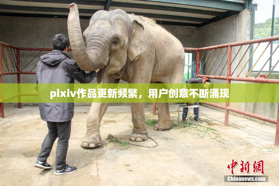 pixiv作品更新频繁，用户创意不断涌现