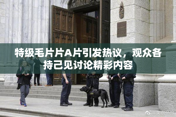 特级毛片片A片引发热议，观众各持己见讨论精彩内容