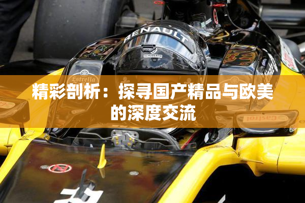 精彩剖析：探寻国产精品与欧美的深度交流