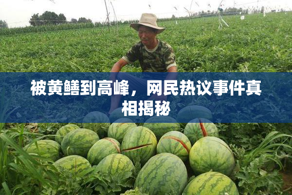 被黄鳝到高峰，网民热议事件真相揭秘