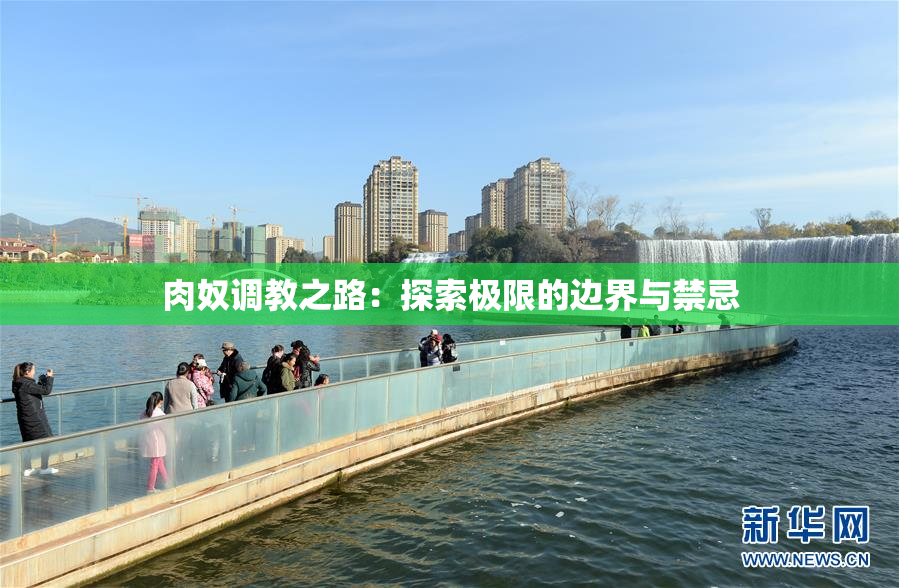 肉奴调教之路：探索极限的边界与禁忌