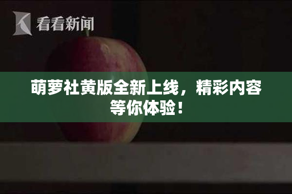 萌萝社黄版全新上线，精彩内容等你体验！