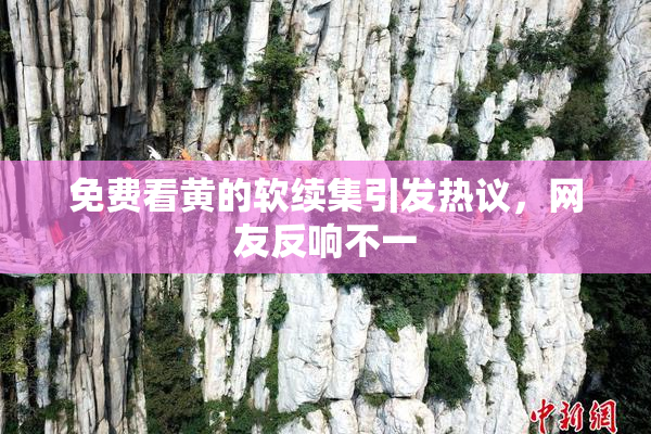 免费看黄的软续集引发热议，网友反响不一