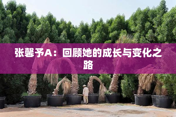 张馨予A：回顾她的成长与变化之路