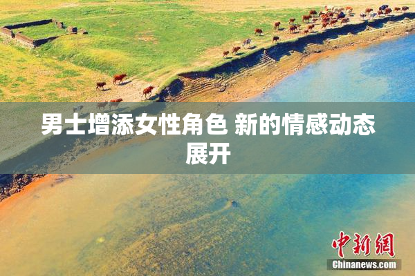 男士增添女性角色 新的情感动态展开