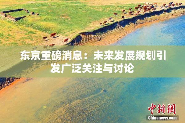 东京重磅消息：未来发展规划引发广泛关注与讨论