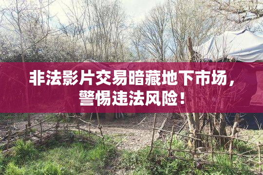非法影片交易暗藏地下市场，警惕违法风险！