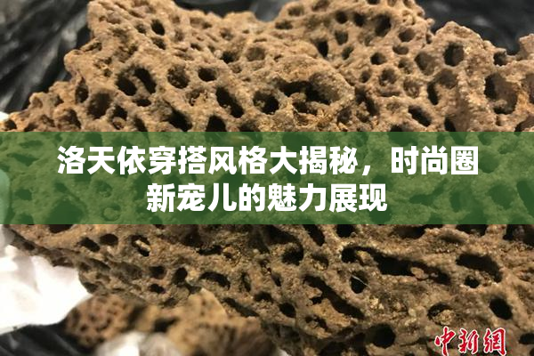 洛天依穿搭风格大揭秘，时尚圈新宠儿的魅力展现