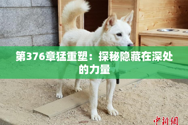 第376章猛重塑：探秘隐藏在深处的力量