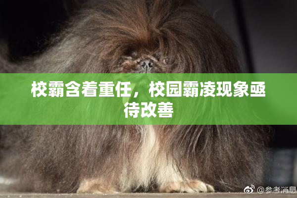 校霸含着重任，校园霸凌现象亟待改善