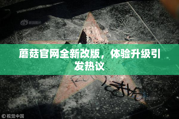 蘑菇官网全新改版，体验升级引发热议