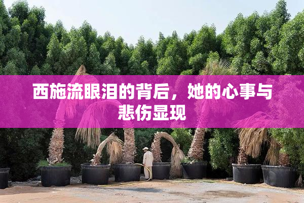 西施流眼泪的背后，她的心事与悲伤显现