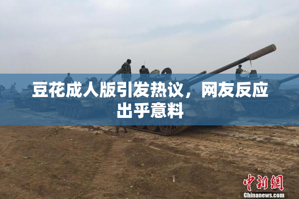 豆花成人版引发热议，网友反应出乎意料