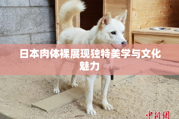 日本肉体裸展现独特美学与文化魅力