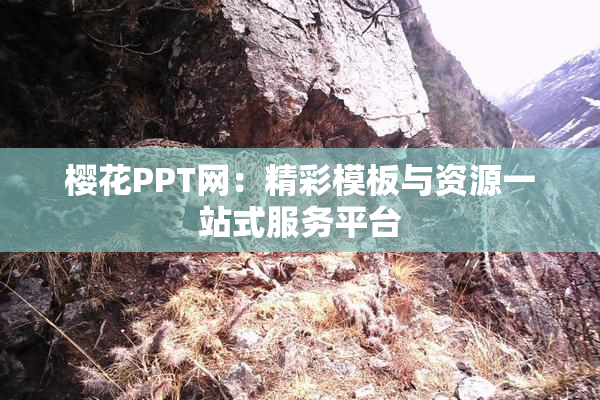 樱花PPT网：精彩模板与资源一站式服务平台