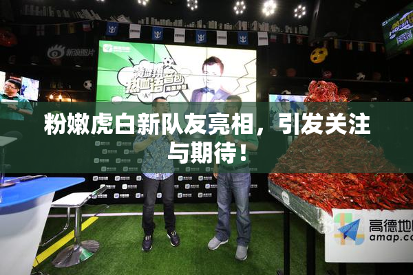 粉嫩虎白新队友亮相，引发关注与期待！