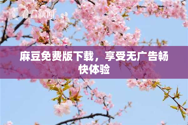 麻豆免费版下载，享受无广告畅快体验