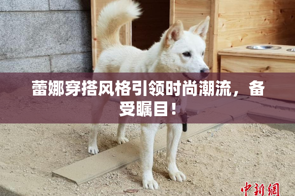 蕾娜穿搭风格引领时尚潮流，备受瞩目！