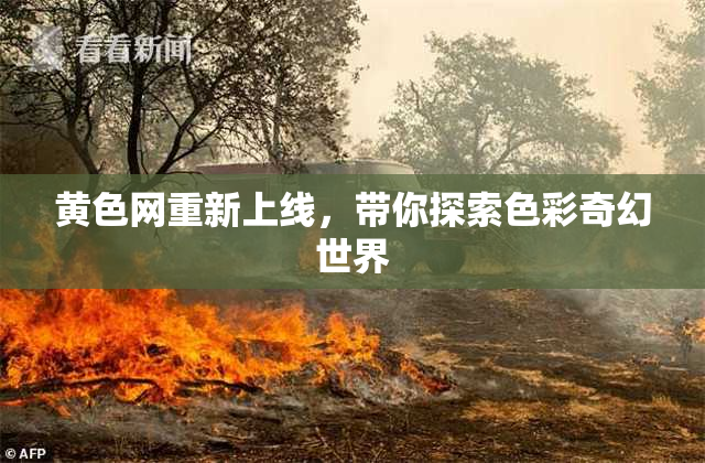 黄色网重新上线，带你探索色彩奇幻世界