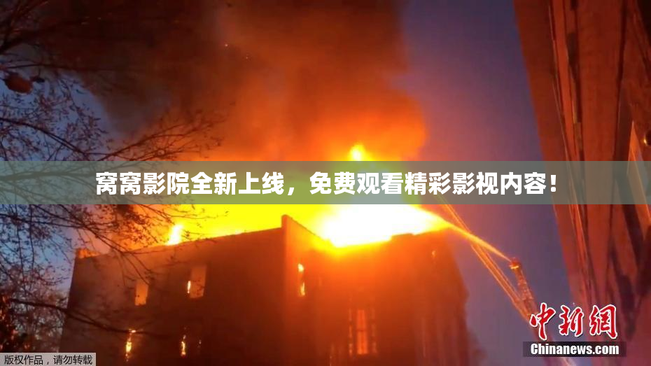 窝窝影院全新上线，免费观看精彩影视内容！