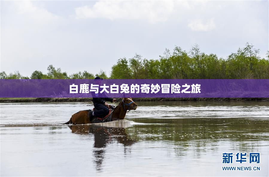 白鹿与大白兔的奇妙冒险之旅