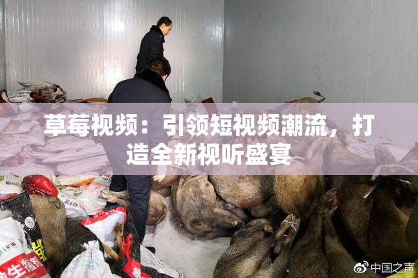 草莓视频：引领短视频潮流，打造全新视听盛宴