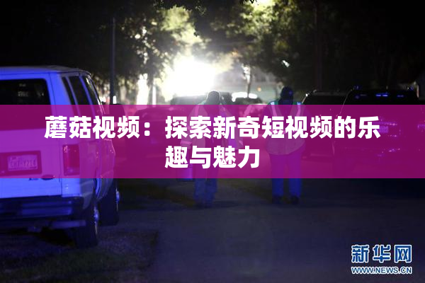蘑菇视频：探索新奇短视频的乐趣与魅力